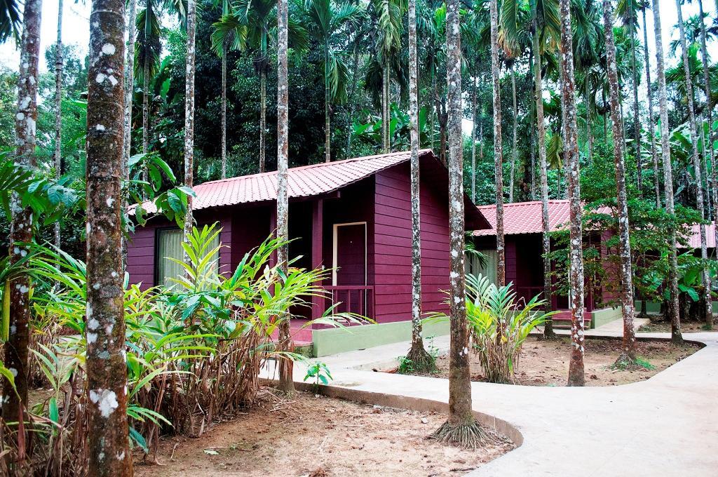 La Flora Prakruth Resort, Coorg Madikeri Exterior photo
